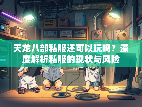 天龙八部私服还可以玩吗？深度解析私服的现状与风险