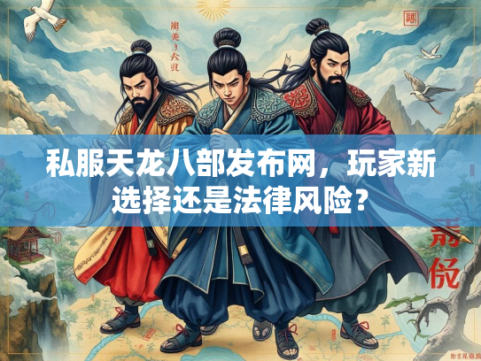 私服天龙八部发布网，玩家新选择还是法律风险？