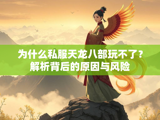 为什么私服天龙八部玩不了？解析背后的原因与风险