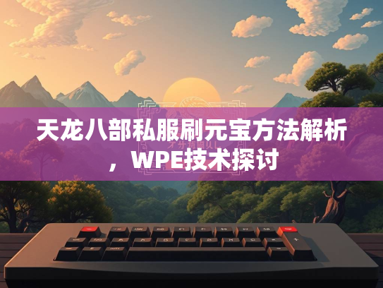天龙八部私服刷元宝方法解析，WPE技术探讨  第2张