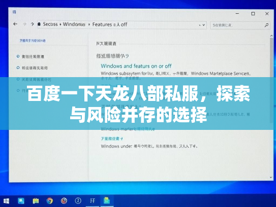 百度一下天龙八部私服，探索与风险并存的选择
