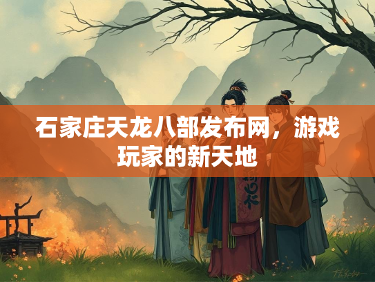 石家庄天龙八部发布网，游戏玩家的新天地