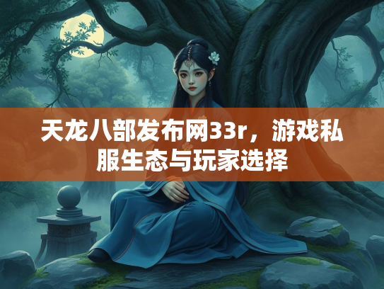 天龙八部发布网33r，游戏私服生态与玩家选择  第2张