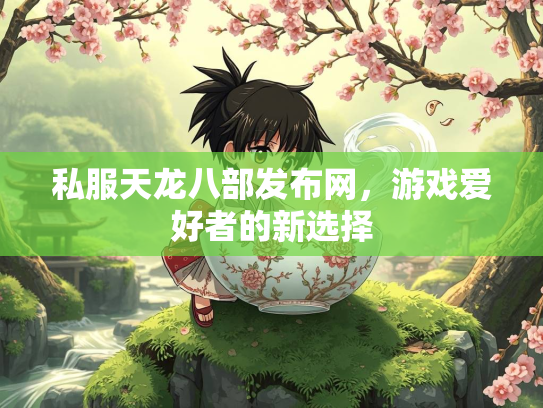 私服天龙八部发布网，游戏爱好者的新选择