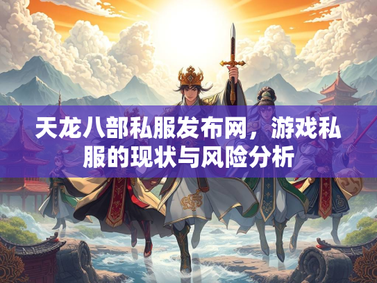 天龙八部私服发布网，游戏私服的现状与风险分析