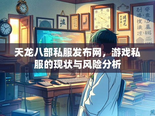 天龙八部私服发布网，游戏私服的现状与风险分析