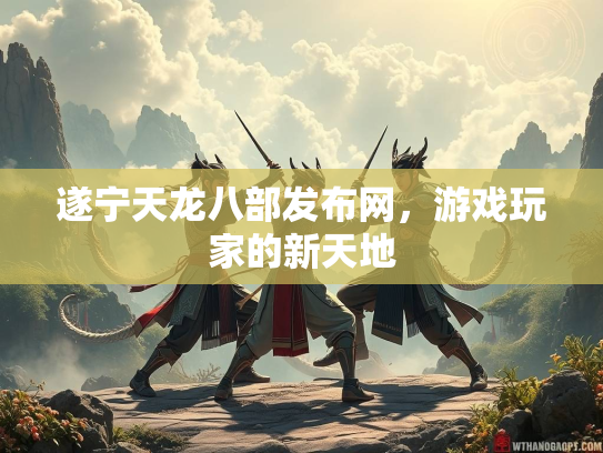 遂宁天龙八部发布网，游戏玩家的新天地  第2张