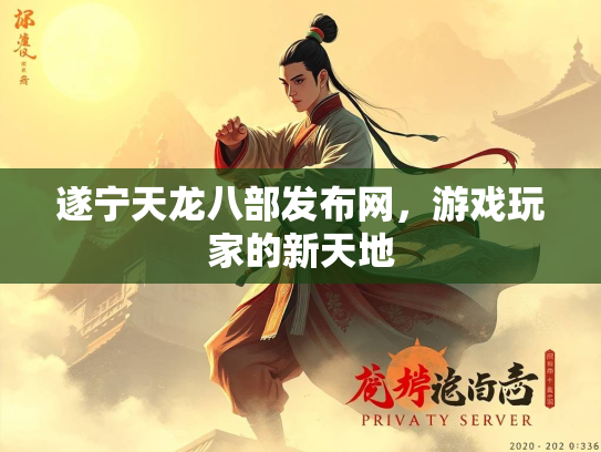 遂宁天龙八部发布网，游戏玩家的新天地