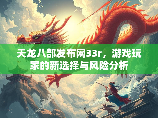 天龙八部发布网33r，游戏玩家的新选择与风险分析  第3张