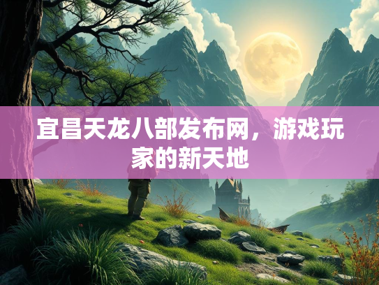 宜昌天龙八部发布网，游戏玩家的新天地  第2张