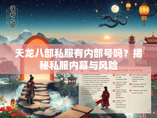 天龙八部私服有内部号吗？揭秘私服内幕与风险