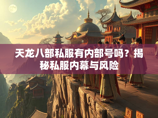 天龙八部私服有内部号吗？揭秘私服内幕与风险