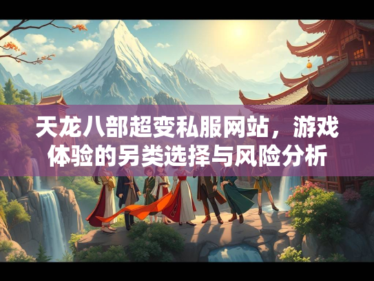 天龙八部超变私服网站，游戏体验的另类选择与风险分析
