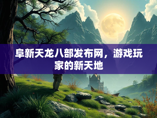 阜新天龙八部发布网，游戏玩家的新天地  第3张