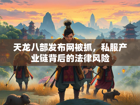天龙八部发布网被抓，私服产业链背后的法律风险