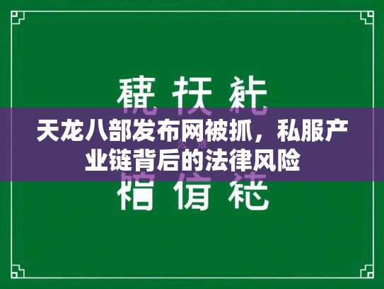 天龙八部发布网被抓，私服产业链背后的法律风险