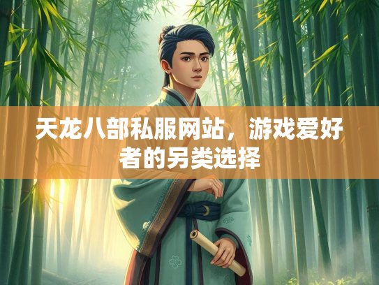 天龙八部私服网站，游戏爱好者的另类选择