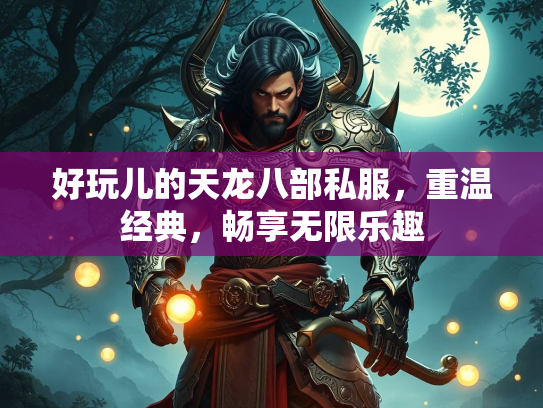 好玩儿的天龙八部私服，重温经典，畅享无限乐趣