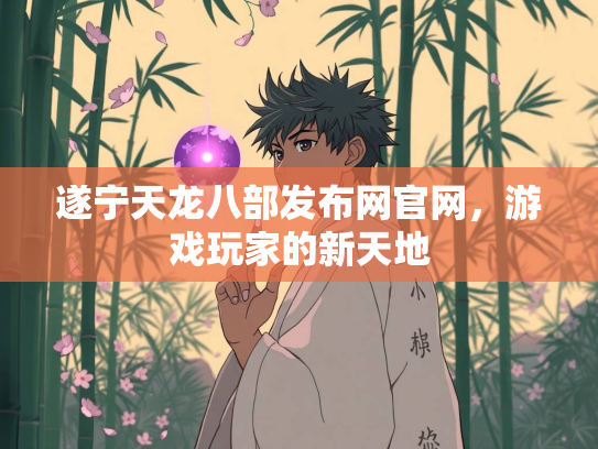 遂宁天龙八部发布网官网，游戏玩家的新天地  第3张