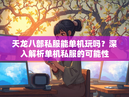 天龙八部私服能单机玩吗？深入解析单机私服的可能性  第4张
