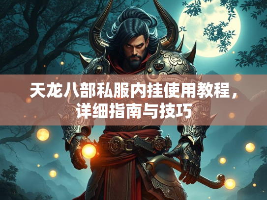 天龙八部私服内挂使用教程，详细指南与技巧  第4张