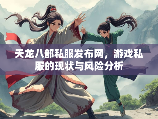 天龙八部私服发布网，游戏私服的现状与风险分析