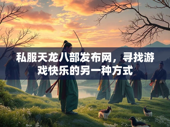 私服天龙八部发布网，寻找游戏快乐的另一种方式  第2张
