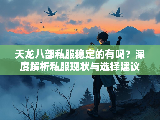 天龙八部私服稳定的有吗？深度解析私服现状与选择建议  第3张