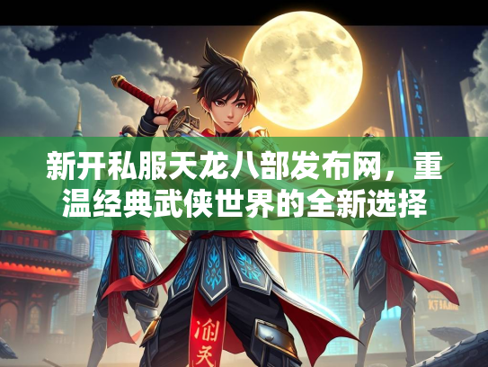 新开私服天龙八部发布网，重温经典武侠世界的全新选择  第3张
