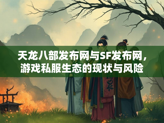 天龙八部发布网与SF发布网，游戏私服生态的现状与风险