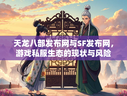 天龙八部发布网与SF发布网，游戏私服生态的现状与风险
